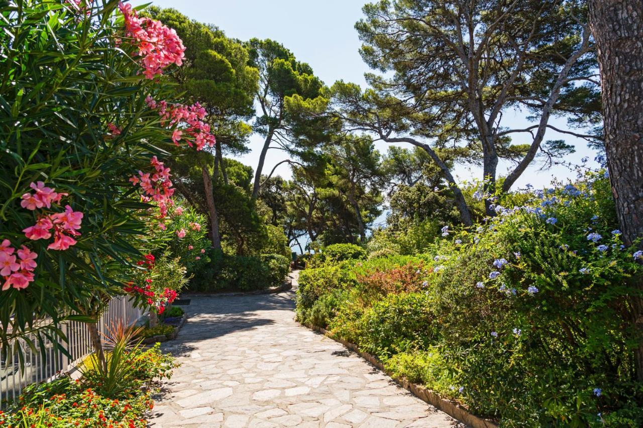 Parc Et Residence Le Provencal Hyères Екстериор снимка